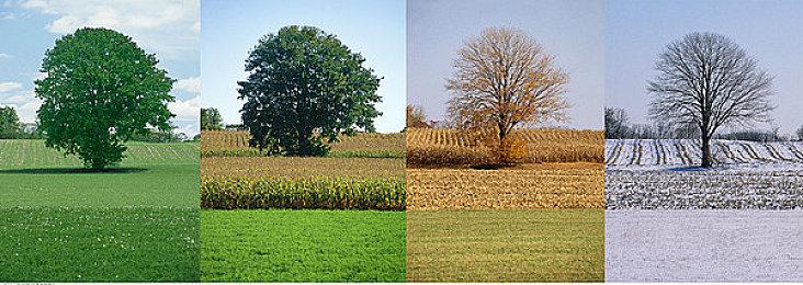 《战区》将不再添加更多地图 因为安装文件过大